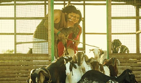 இயக்குநரின் குரல்: விவசாயி கொந்தளித்தால்...!