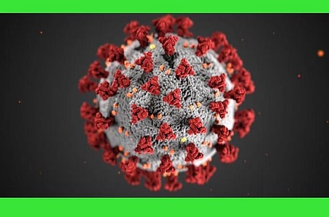 தமிழகத்தில் கரோனா பாதிப்பு எண்ணிக்கை 67 ஆனது; புதிதாக பாதிக்கப்பட்டவர்களின் விவரம்
