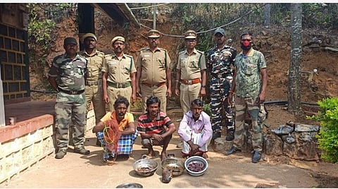 முள்ளம்பன்றி கறி சமைத்து கைது செய்யப்பட்ட மூவர்.