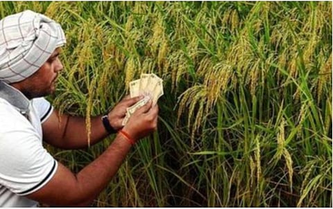 சிறு விவசாயிகள் பாதிக்கப்படாத வண்ணம் விளை பொருட்களை நேரடியாக கொள்முதல் செய்ய வேண்டும்: அரசுக்கு உயர் நீதிமன்றம் அறிவுறுத்தல்