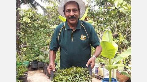 ஊரடங்கில் கைகொடுக்கும் மாடித் தோட்டம்: தோட்டக்கலைத் துறை முன்னாள் அதிகாரி பெருமிதம்
