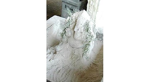 தமிழ்ப் புத்தாண்டு சார்வரி வருடப் பலன்கள் - மகரம்