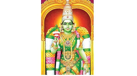 தமிழ்ப் புத்தாண்டு சார்வரி வருடப் பலன்கள் - துலாம்