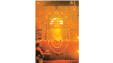 தமிழ்ப் புத்தாண்டு சார்வரி வருடப் பலன்கள் - கன்னி