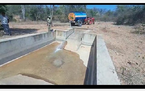கோடையில் வேகமாக வற்றும் நீர்நிலைகள்: விலங்குகள் தாகம் தணிக்கும் பணியில் வனத்துறை தீவிரம்