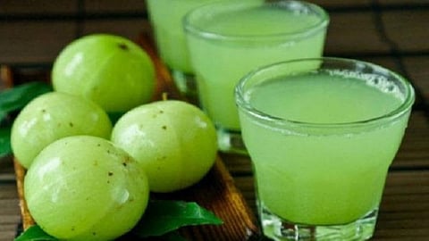 வைட்டமின் சி நிறைந்த நெல்லிக்காய் உணவுகளை எப்படி தயாரிக்கலாம்?- வேளாண் அறிவியல் மைய பேராசிரியர்கள் விளக்கம்