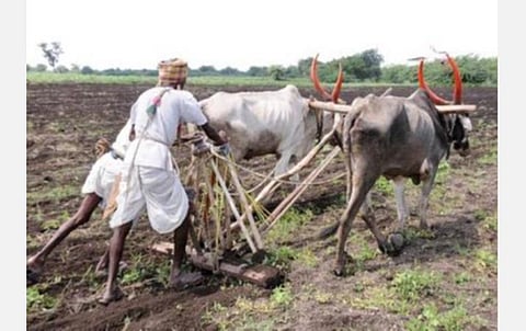 ராஜஸ்தானில் ஊரடங்கால் பாதிக்கப்பட்ட ஏழைகளுக்கு உணவு வழங்க ரூ.50 லட்சம் செலவிட்ட விவசாயி
