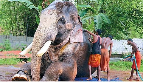 கோப்புப்படம்