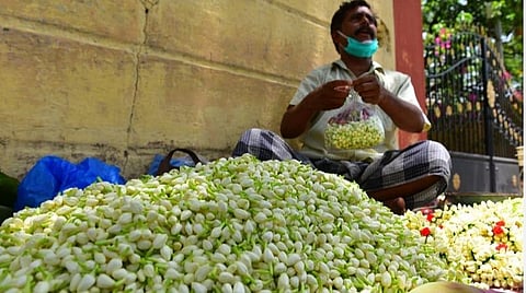 படம்: எஸ்.கிருஷ்ணமூர்த்தி