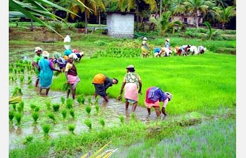 காவிரி டெல்டா மாவட்டங்களில் தூர்வாருதல், குடிமராமத்து பணி : 7 சிறப்பு கண்காணிப்பு அதிகாரிகள் நியமனம்