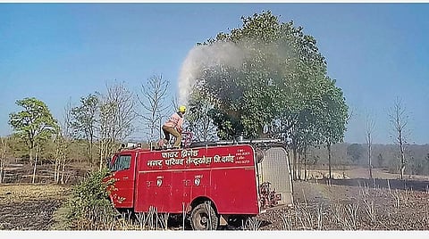 மத்தியபிரதேச மாநிலம், தமோ மாவட்டத்தில் வெட்டுக்கிளிகள் படையெடுப்பை தடுக்க நேற்று முன்தினம் பூச்சிக்கொல்லி மருந்து தெளிக்கும் தீயணைப்பு படை வீரர்.படம்: பிடிஐ