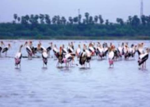 ஊசுடு ஏரி: கோப்புப்படம்