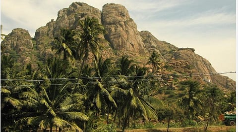 அரிய மூலிகைகளைக் கொண்ட மருந்துவாழ் மலை: புராதனச் சின்னமாக அறிவிக்கக் கோரிக்கை