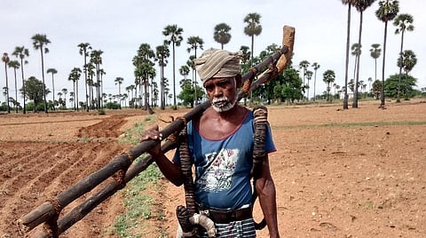 குன்னத்தூர் பனைத் தொழிலாளி.