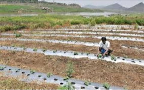 சிறு, குறு விவசாயிகளுக்கு 100 சதவீதம் மானியம்: சொட்டு நீர்ப்பாசனம் அமைக்க தமிழகத்திற்கு ரூ.1428 கோடி ஒதுக்கீடு- ‘கரோனா’ ஊரடங்கில் விவசாயத்திற்கு மத்திய அரசு தாராளம்