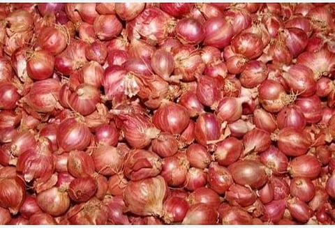 சின்ன வெங்காயம் விலை நிலையாக இருக்கும்: தமிழ்நாடு வேளாண் பல்கலை. முன்னறிவிப்பு