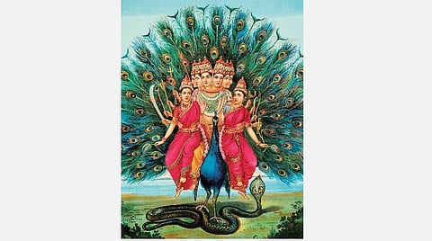 மயிலேறும் இராவுத்தன்