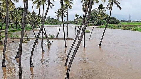 தேனியில் குறைந்த தென்மேற்கு பருவமழை: 33 அடிக்குக் கீழே சரிந்த வைகை அணை நீர்மட்டம்- மதுரை மாநகரில் குடிநீர் தட்டுப்பாடு அபாயம்