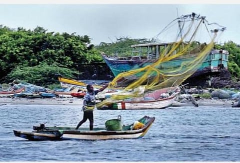 சுருக்குமடி வலை மீனவர்களுக்கு அரசின் மாற்றுத் திட்டங்கள்: நாகை ஆட்சியர் அறிவிப்பு