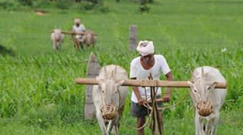 வேளாண் மற்றும் கிராமப்புற தொழிலாளர் விலை குறியீட்டு எண்: 1199 புள்ளிகளுடன் தமிழகம் முதலிடம்