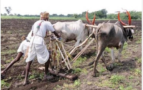 விவசாய சீர்திருத்தத்துக்கான தருணம்