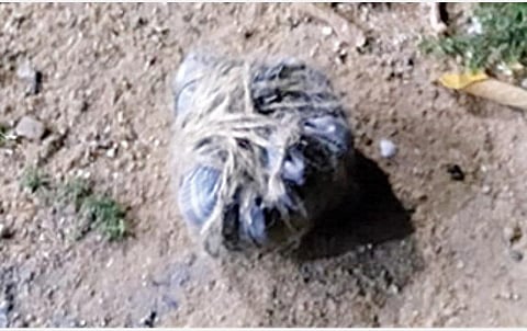 ராஜபாண்டி வீட்டின் அருகே கிடந்த வெடிக்காத நாட்டுவெடிகுண்டு