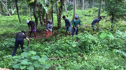 நூறு நாள் வேலைத் திட்டத்தில் பட்டதாரி இளைஞர்கள்: இதுவும் கரோனா தந்த காலமாற்றம்தான்!