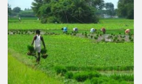 கூட்டுறவுச் சங்கங்களின் வேலை நிறுத்தம்; பாதிக்கப்படும் விவசாயம்: விரைந்து முடிவு காண திமுக வலியுறுத்தல்