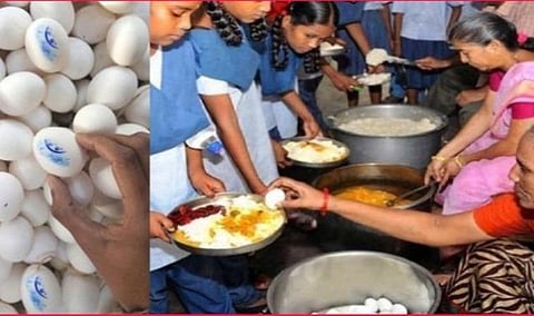 மாணவர்களுக்கு வாரம் ஒரு முறை மொத்தமாக முட்டை, மாணவிகளுக்கு நாப்கின்கள் வழங்கிட வேண்டும்: அரசுக்கு உயர் நீதிமன்றம் அறிவுறுத்தல்