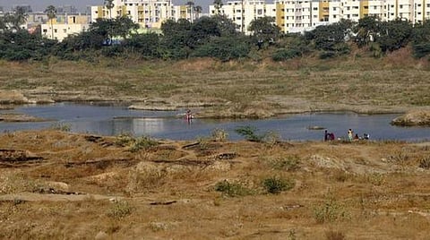 மேடவாக்கம் ஏரி ஆக்கிரமிப்பு தொடர்பாக ஆய்வு செய்ய குழு அமைத்து பசுமை தீர்ப்பாயம் உத்தரவு