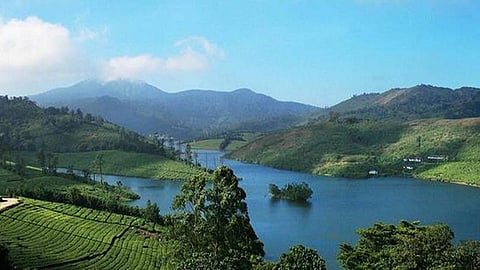 மேகமலை வனப்பகுதியில் கால்நடைகள் மேய்ச்சலுக்கு தடை விதிக்கக் கோரி வழக்கு: தேனி ஆட்சியர், வனக்காவலருக்கு நோட்டீஸ்