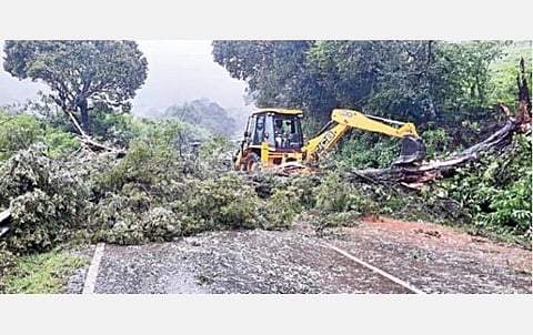 உதகை-கூடலூர் சாலையில் விழுந்த மரத்தை பொக்லைன் இயந்திரம் மூலம் அப்புறப்படுத்தும் போலீஸார்.