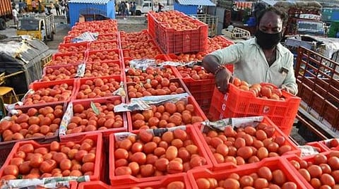 திருமழிசை சந்தையில் ரூ.35-ல் நீடிக்கும் தக்காளி விலை: சில்லறை கடைகளில் ரூ.50-க்கு விற்பனை