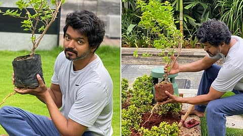 பசுமை இந்தியா: மகேஷ் பாபு சவாலை ஏற்ற விஜய்