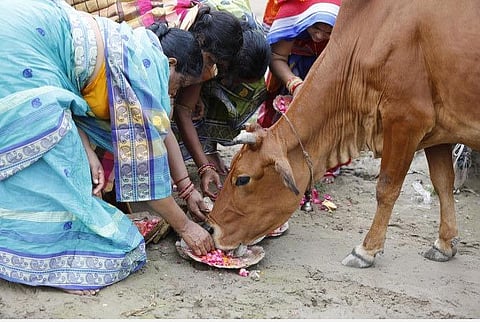 பிரதிநித்துவப்படம்