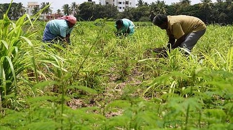 கோப்புப் படம்
