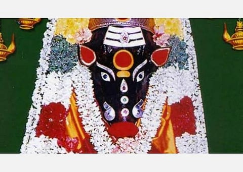 வாராஹியை நினைத்து விளக்கேற்றுங்கள்; தீய சக்தியை விரட்டும் பஞ்சமி வழிபாடு!