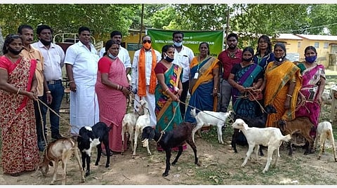 நிலமற்ற ஏழை கிராமப் பெண்களுக்கு விலையில்லா ஆடுகள்: கிராமப் பொருளாதாரத்தை ஊக்குவிக்கும் மத்திய அரசின் திட்டம்