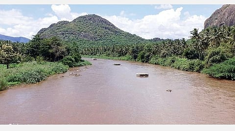 தொடர் மழையால் மூல வைகையில் பெருக்கெடுத்து ஓடும் தண்ணீர்.