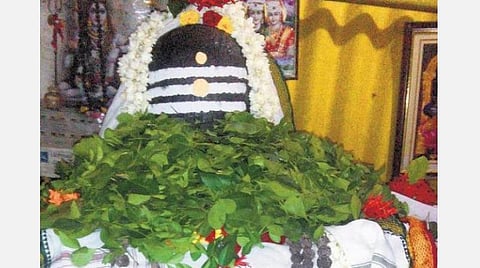 மாத சிவராத்திரி... பிரதோஷம்... சிவனாருக்கு வில்வம் கொடுங்கள்!