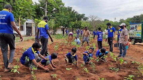 300 தாவரங்களைக் கொண்டு குருங்காடு அமைக்கும் இளைஞர்கள்: மதுரை திருநகரில் சுற்றுச்சூழல் மேம்பட புது முயற்சி