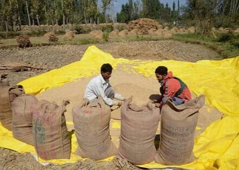 கோவிட்-19 சூழலிலும் 296.65 மில்லியன் டன் உணவு தானிய உற்பத்தி