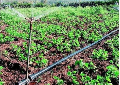 சொட்டு நீர் பாசனத்திற்கு ரூ.2700.01 கோடி: மத்திய அரசு ஒதுக்கீடு