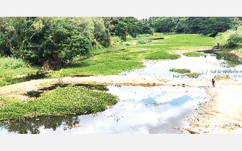மழை காலத்திலும் போதிய நீர்வரத்து இன்றி காணப்படும் சண்முகநதி.