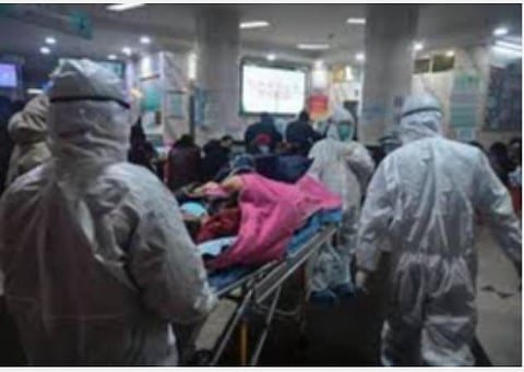 கோவிட் -19 சிகிச்சைக்கு வாசா, குடுச்சி மூலிகை மருந்துகளின் சாத்தியக்கூறுகள்: ஆயுஷ் அமைச்சகம் ஆய்வு