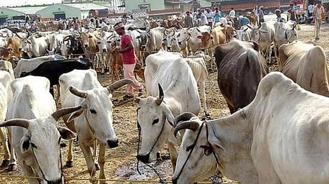பிரதிநிதித்துவப் படம்.