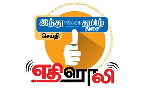 கன்னியாகுமரியில் அலையாத்தி காடுகளை அழித்து சூழலியல் பூங்கா அமைக்கப்படுகிறதா? - ஆய்வு செய்ய குழு அமைத்து பசுமை தீர்ப்பாயம் உத்தரவு
