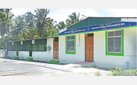 மாநகரில் தெரு நாய்கள் எண்ணிக்கை அதிகரிப்பு: கருத்தடை மையத்தை விரைவில் திறக்க வலியுறுத்தல்