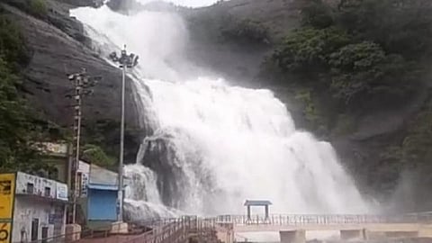 மேற்குத் தொடர்ச்சி மலைப் பகுதியில் பலத்த மழை: அடவிநயினார் அணை இந்த ஆண்டில் 3-வது முறையாக நிரம்பியது- குற்றாலம் அருவிகளில் 3-வது நாளாக வெள்ளப்பெருக்கு