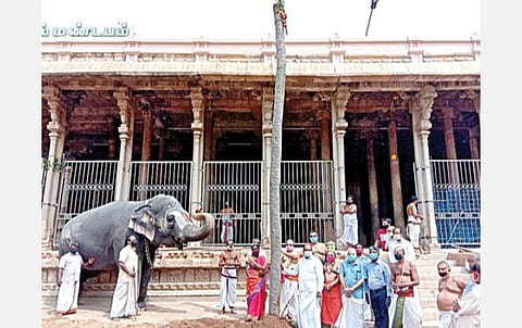 வைகுண்ட ஏகாதசி பெருவிழாவுக்காக ஸ்ரீரங்கம் ரங்கநாதர் கோயில் ஆயிரங்கால் மண்டபம் அருகே நேற்று நடப்பட்ட முகூர்த்தக் கால்.